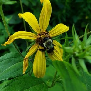 Meet your Posher, Teresa